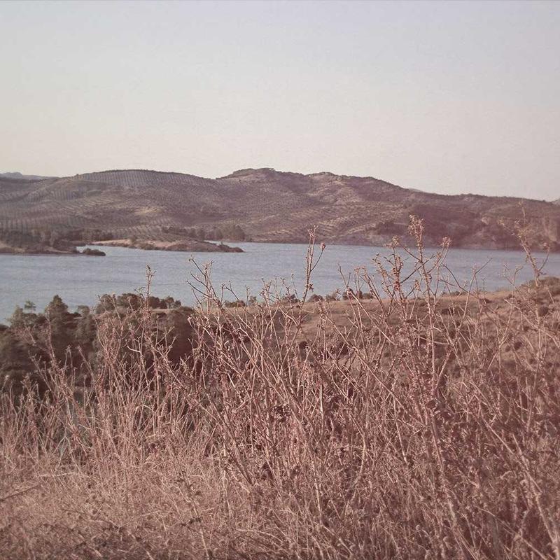 Stilfuld Webcam