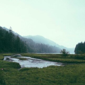 Modern Børnebog